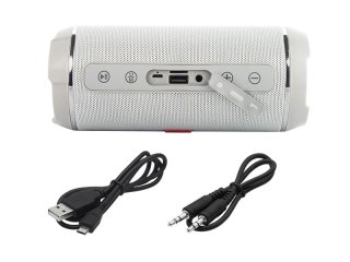 Głośnik BLOW BT-460 szary bezprzewodowy Bluetooth 20W mobilny