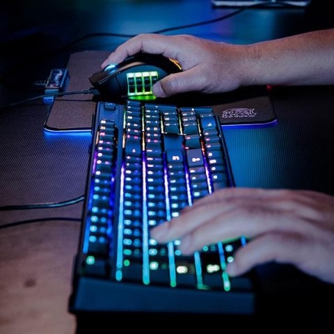 Mysz Tt eSPORTs NEMESIS SWITCH RGB Gaming z optycznym sensorem PMW 3360