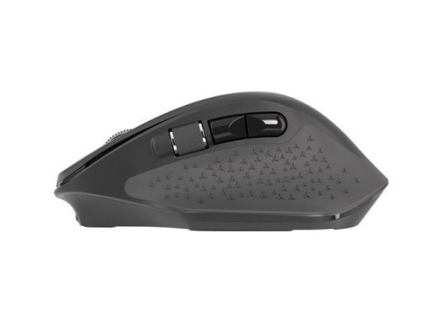 Mysz Natec Falcon bezprzewodowa 3200 DPI ergonomiczna z Bluetooth