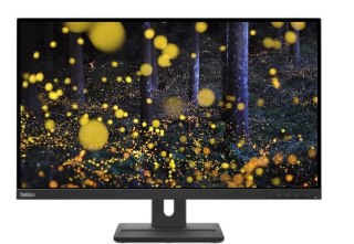Monitor Lenovo ThinkVision E27q-20 27'' QHD matowy 350 cd/m2