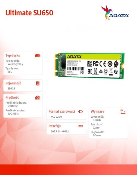 Dysk SSD Adata Ultimate SU650 256GB M.2 2280 SATA szybki 3D TLC