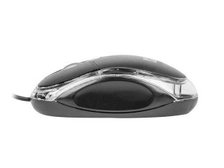 Mysz Natec Vireo 2 optyczna 1000 DPI ergonomiczna USB czarna
