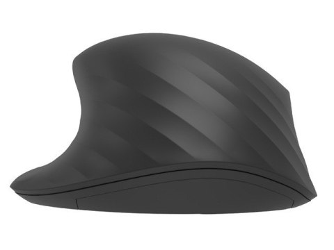 Mysz bezprzewodowa Natec Siskin 2 1600 DPI Bluetooth 5.0 cicha czarna