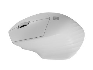 Mysz bezprzewodowa Natec Siskin 2 1600 DPI Bluetooth 5.0 cicha biała