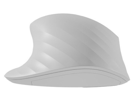 Mysz bezprzewodowa Natec Siskin 2 1600 DPI Bluetooth 5.0 cicha biała