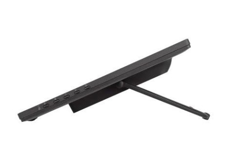 Monitor IIYAMA ProLite T2455MSC-B1 24 10-punktowy dotykowy z kamerą