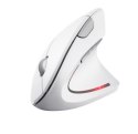 Mysz bezprzewodowa Trust Verto Ergo biała ergonomiczna z USB