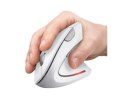 Mysz bezprzewodowa Trust Verto Ergo biała ergonomiczna z USB