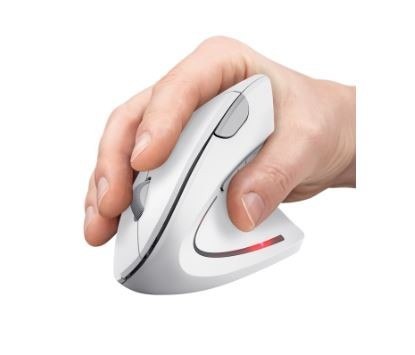 Mysz bezprzewodowa Trust Verto Ergo biała ergonomiczna z USB
