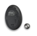Trackball Kensington Pro Fit Ergo TB550 bezprzewodowy precyzyjny