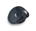 Trackball Kensington Pro Fit Ergo TB550 bezprzewodowy precyzyjny