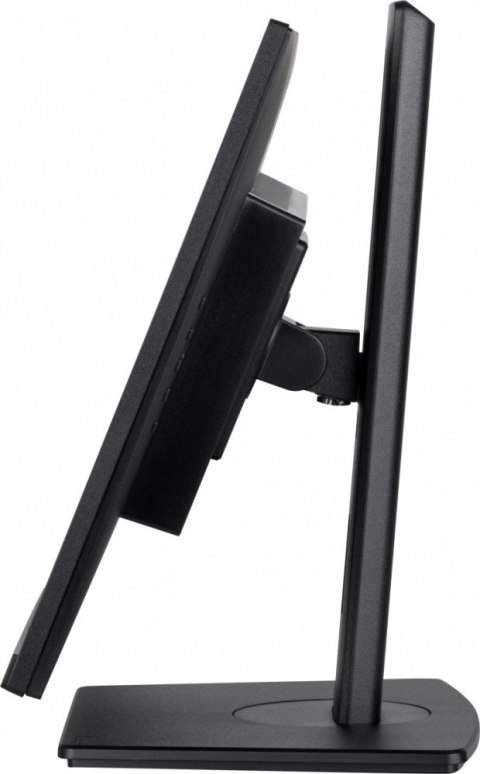 Monitor IIYAMA ProLite XUB2492HSU-B6 23.8 FHD IPS 100Hz regulowany PIVOT