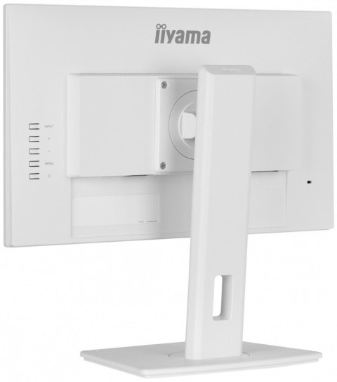 Monitor IIYAMA ProLite XUB2292HSU-W6 21.5 IPS 100Hz FreeSync biały