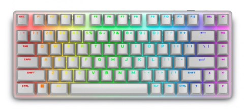 Klawiatura bezprzewodowa Alienware Pro QWERTY dla graczy z RGB szara