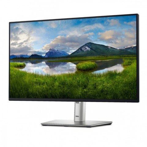 Monitor Dell P2425H 24 FHD 100Hz IPS LED z wieloma portami