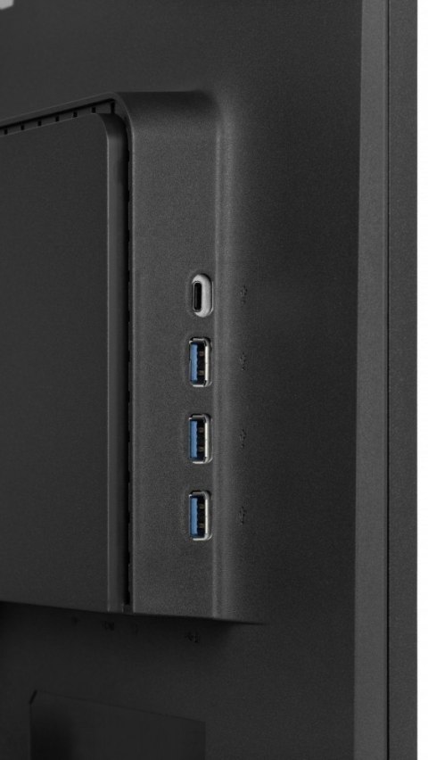 Monitor IIYAMA ProLite XU2495WSU-B7 24 cale IPS 16:10 300cd matowy FlickerFree