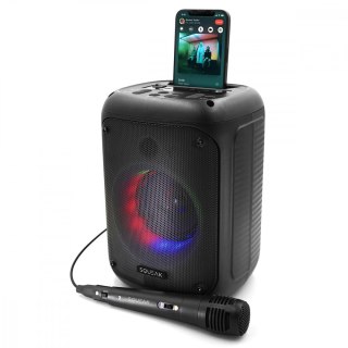 Głośnik Bluetooth 5.0 EDR Beatflow SQ1005 z funkcją KARAOKE