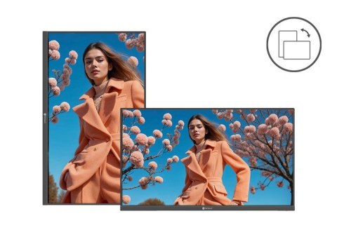 Monitor AG NEOVO VA-3201 31,5 cali Full HD czarny LED