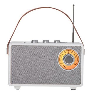 Głośnik Bluetooth Camry CR1902 FM USB-C biały mobilny 10W