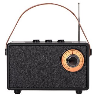 Głośnik Bluetooth Camry CR1902 FM USB-C czarny z funkcją TWS