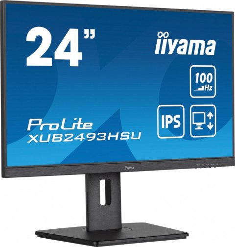 Monitor IIYAMA ProLite XUB2493HSU-B7 24 cal IPS FHD 100Hz z USB