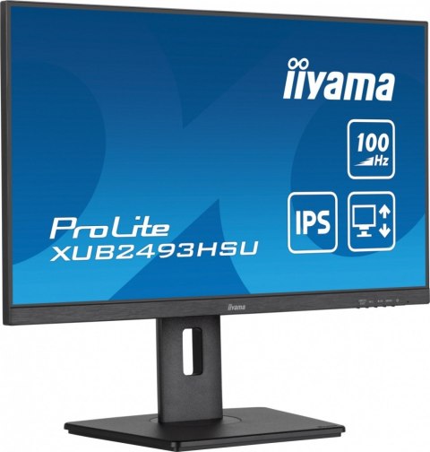 Monitor IIYAMA ProLite XUB2493HSU-B7 24 cal IPS FHD 100Hz z USB