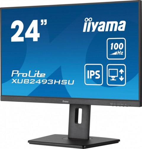 Monitor IIYAMA ProLite XUB2493HSU-B7 24 cal IPS FHD 100Hz z USB
