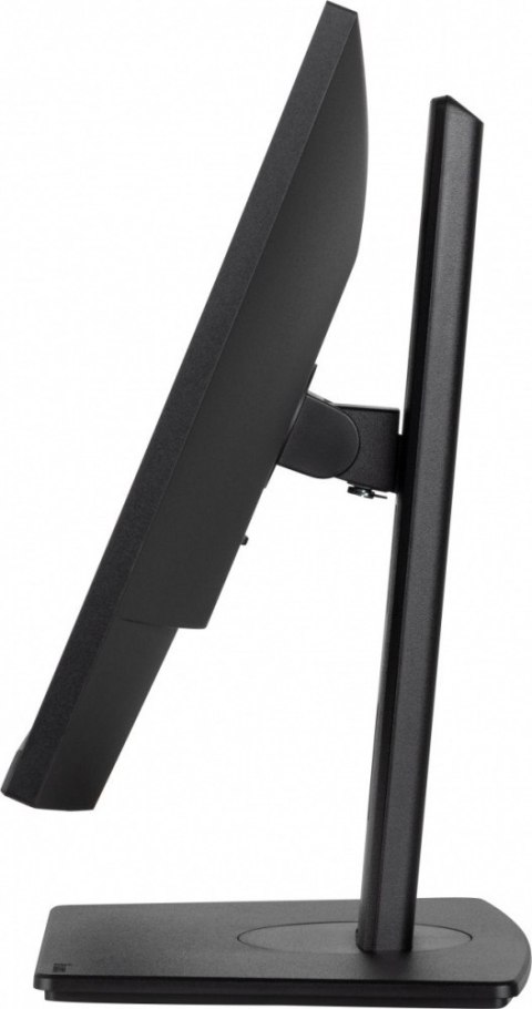 Monitor IIYAMA ProLite XUB2493HSU-B7 24 cal IPS FHD 100Hz z USB