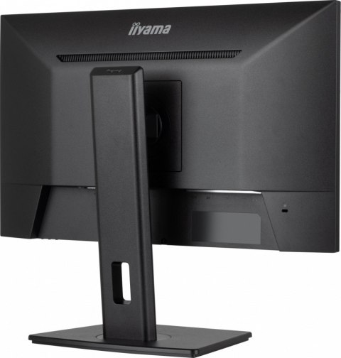 Monitor IIYAMA ProLite XUB2493HSU-B7 24 cal IPS FHD 100Hz z USB