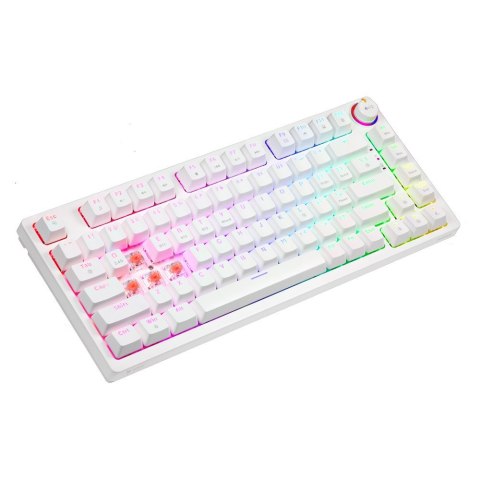 Klawiatura mechaniczna bezprzewodowa SAVIO PHENIX WHITE Gateron Red Pro ABS