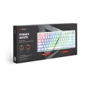 Klawiatura mechaniczna bezprzewodowa Savio PHENIX WHITE Gateron Red Pro lekkie podświetlenie