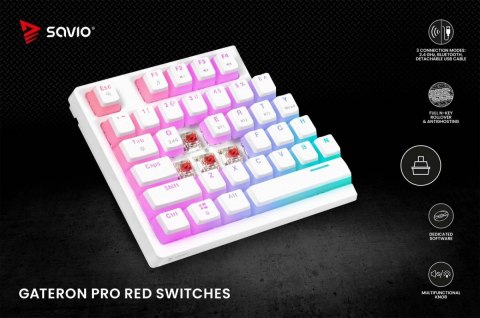 Klawiatura mechaniczna bezprzewodowa Savio PHENIX WHITE Gateron Red Pro lekkie podświetlenie