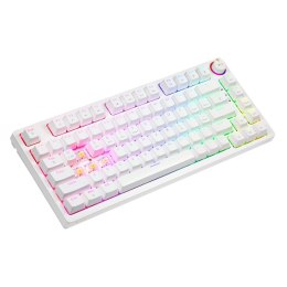 Klawiatura mechaniczna bezprzewodowa Savio PHENIX WHITE Gateron Yellow kompaktowa