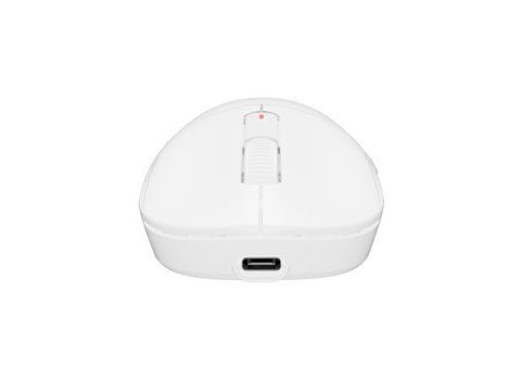 Mysz Natec Fury TANTO T4 RGB bezprzewodowa biała 12000 DPI lekka gamingowa