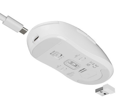 Mysz Natec Fury TANTO T4 RGB bezprzewodowa biała 12000 DPI lekka gamingowa