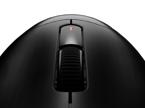 Mysz Natec Fury TANTO T4 RGB bezprzewodowa 12000 DPI czarna