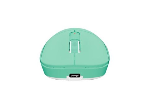 Mysz Natec Fury TANTO T4 RGB bezprzewodowa miętowa 12000 DPI