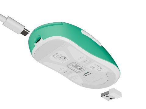 Mysz Natec Fury TANTO T4 RGB bezprzewodowa miętowa 12000 DPI