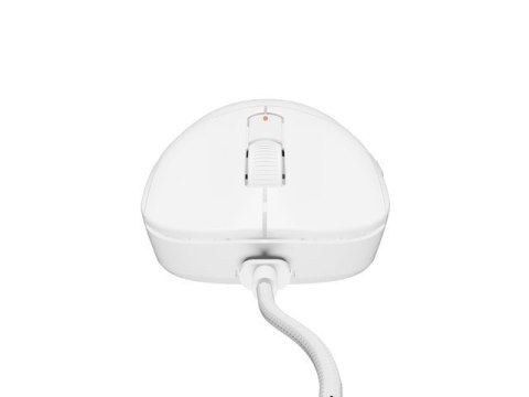 Mysz Fury TANTO T4 RGB 12000DPI ultralekka gamingowa biała