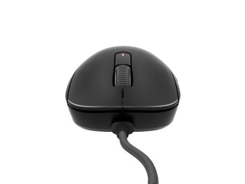 Mysz Natec Fury TANTO T4 RGB 12000DPI gamingowa lekka czarna