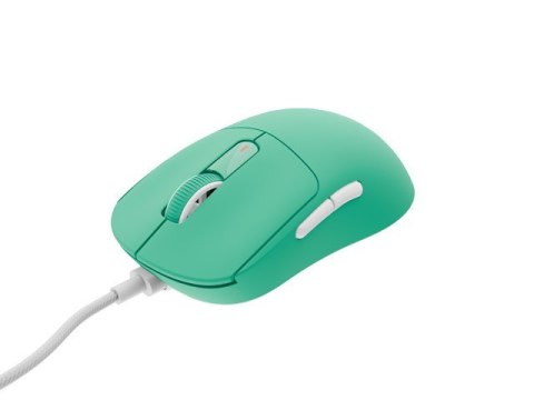 Mysz gamingowa Natec Fury TANTO T4 RGB 12000 DPI miętowa lekka