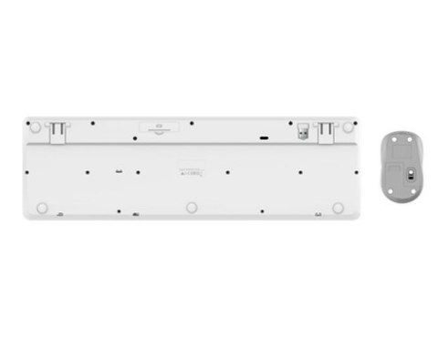 Trust Zestaw klawiatura mysz Ody II bezprzewodowa biała cicha komfortowa