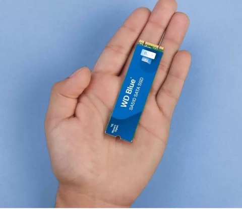 Dysk SSD Western Digital Blue 2TB SA510 M.2 2280 szybki i wydajny