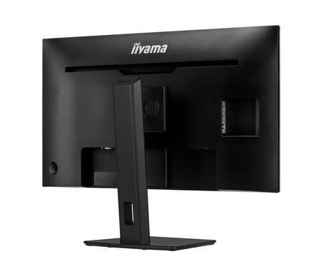 Monitor IIYAMA 31,5'' 4K VA HDMI DisplayPort z regulacją wysokości