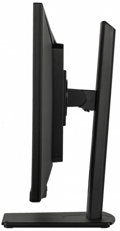 Monitor IIYAMA ProLite XUB3493WQSU 34 cale IPS UWQHD z HDMI