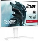 Monitor IIYAMA G-MASTER GB2470HSU-W6 24 FHD 180Hz 0.2ms IPS z głośnikami