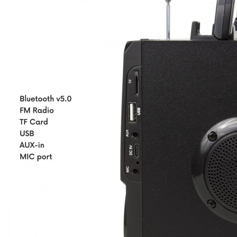 Głośnik Bluetooth Audiocore AC730 11W mobilny radio z USB