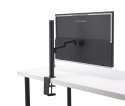 Monitor Asus ZenScreen MB27ACF 27 QHD IPS 100Hz USB-C HDMI