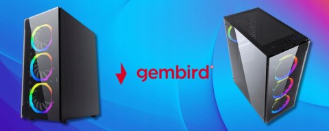 BSG Raptor V15 AMD Ryzen 5 AMD Radeon RX 7600 32GB DDR4 256GB SSD Windows 11 Pro