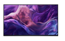 Monitor Dell P2425H 23.8 FHD IPS bez podstawy z USB-C